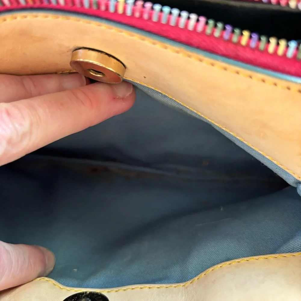 Vintage y2K Dooney & Bourke rainbow small buckle satchel
